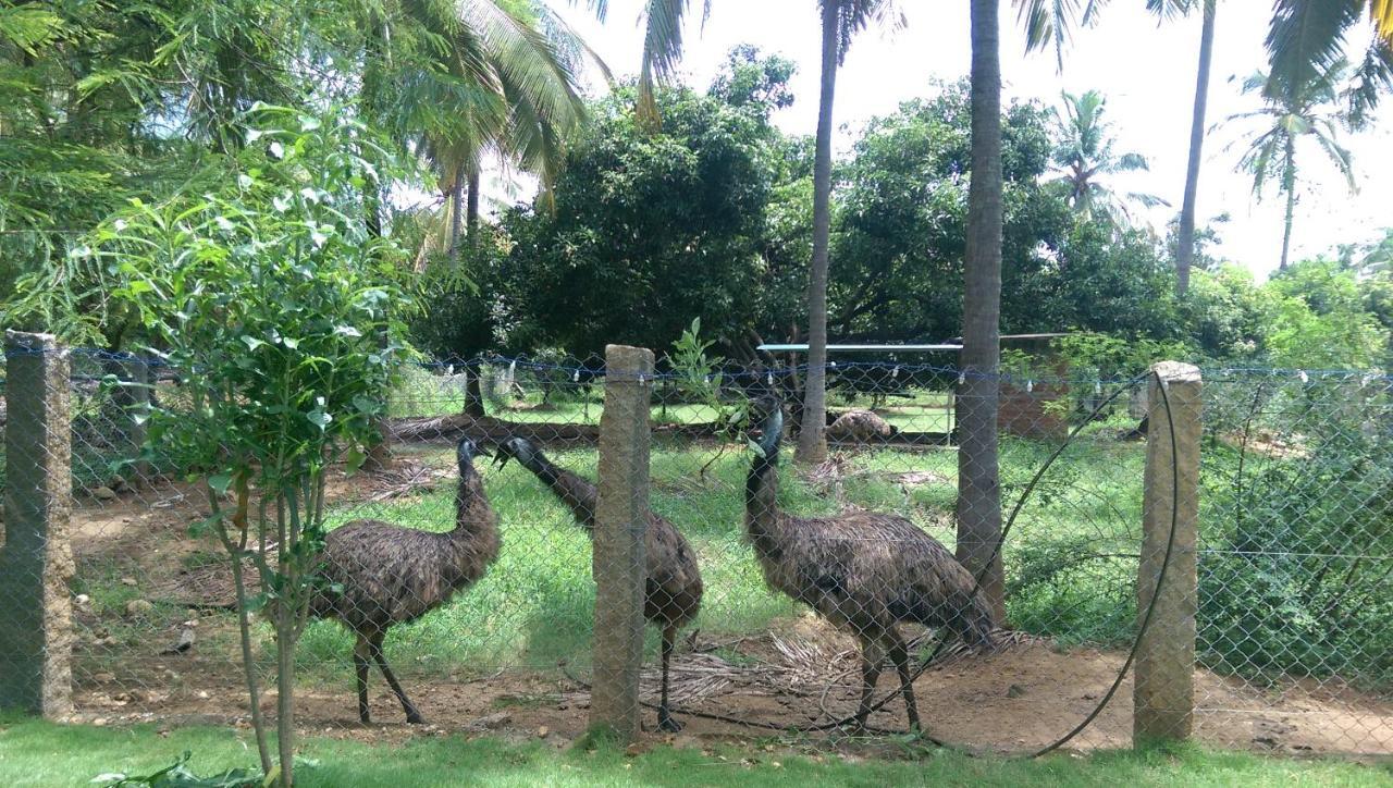 Mango Village Farm House Nelliyampathy Экстерьер фото